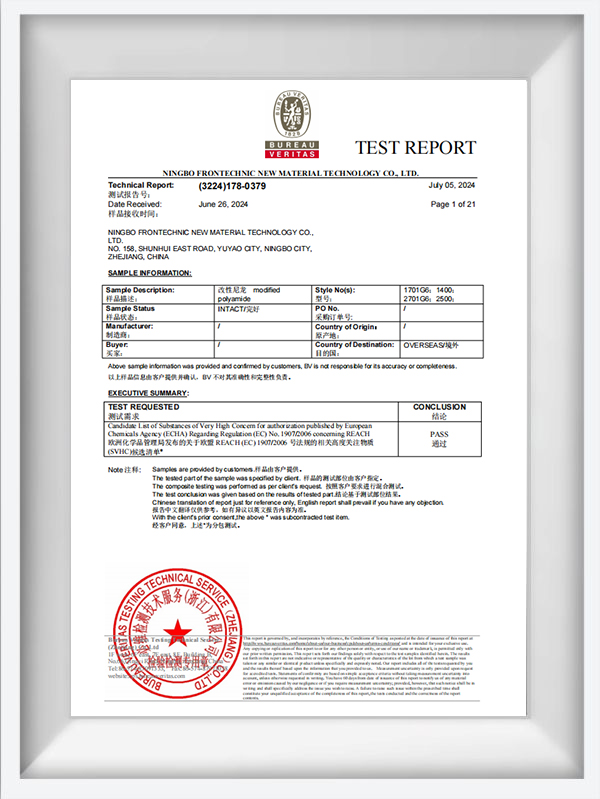 BV 테스트 보고서